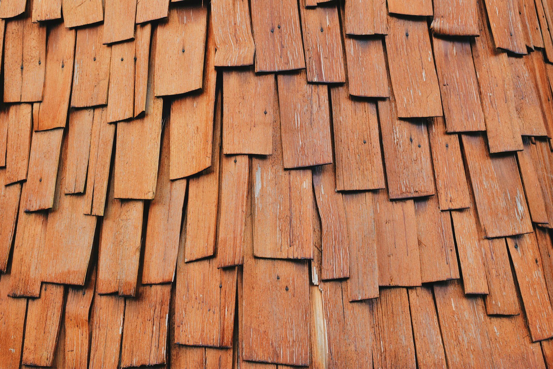 Signs It’s Time for a Roof Replacement: Don’t Ignore These Red Flags!
